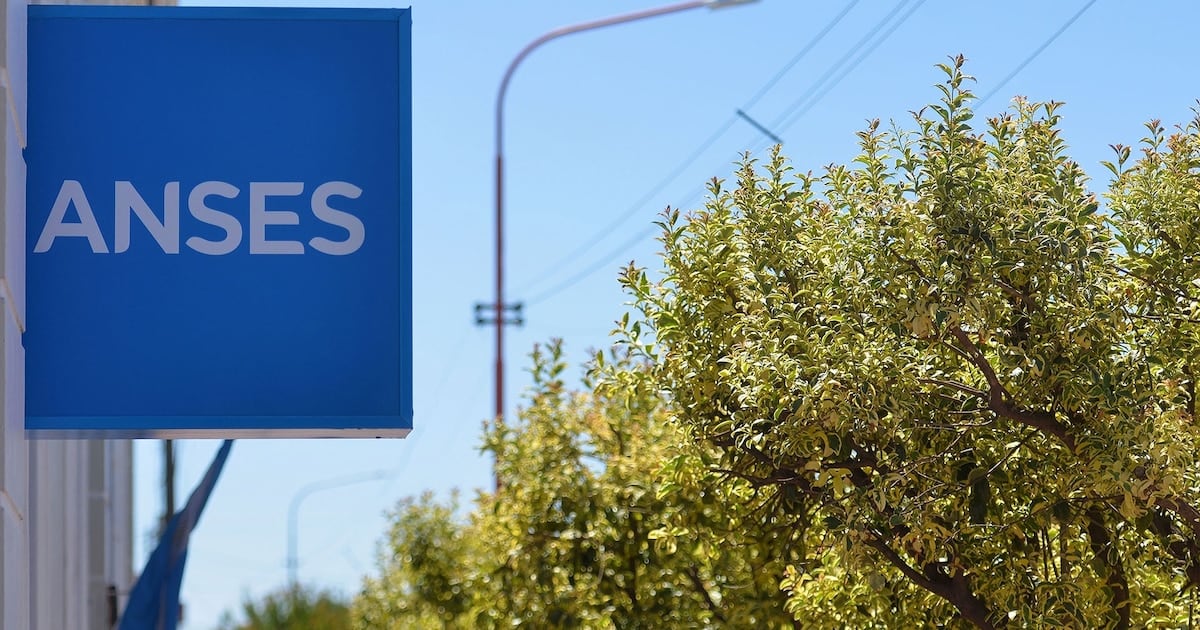 El calendario de ANSES para octubre confirma los pagos a beneficiarios con documento finalizado en 2
