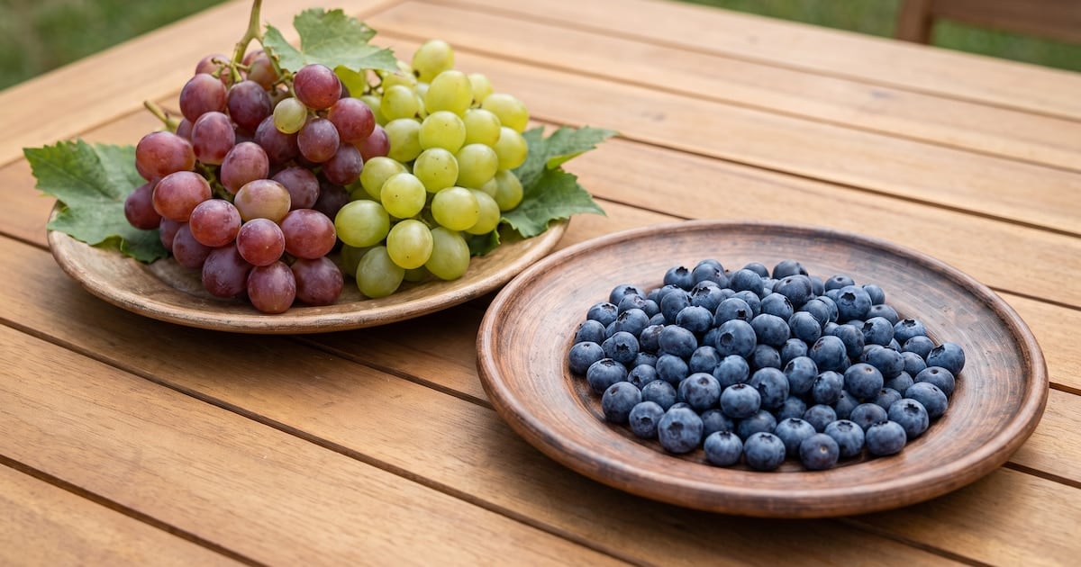 Arándanos y uvas frente al azúcar en sangre: lo que conviene saber antes de elegir la fruta del día