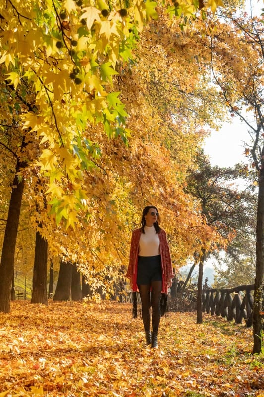 Europa en otoño: doce capitales para recorrer sin apuro y con mejor clima