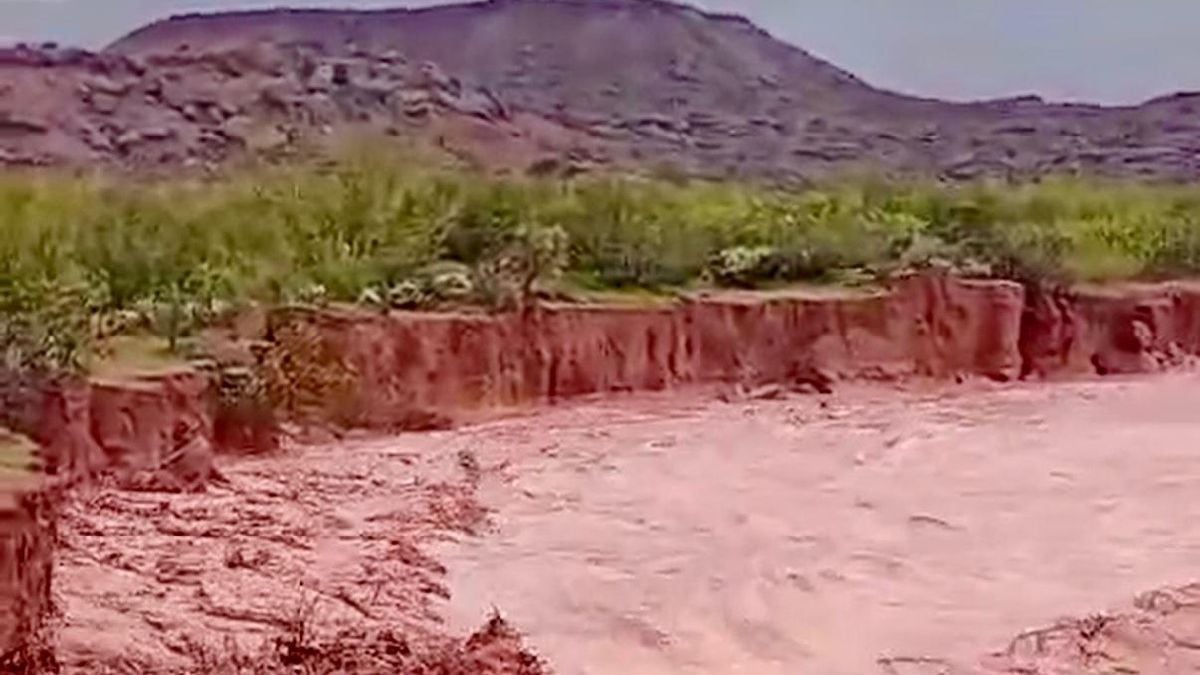 Río Neuquén: dónde consultar los caudales oficiales durante las alertas por lluvias