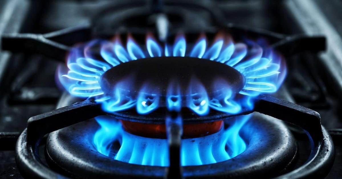 Gas: a quiénes alcanza la bonificación por Zona Fría y qué pasa con los hogares excluidos